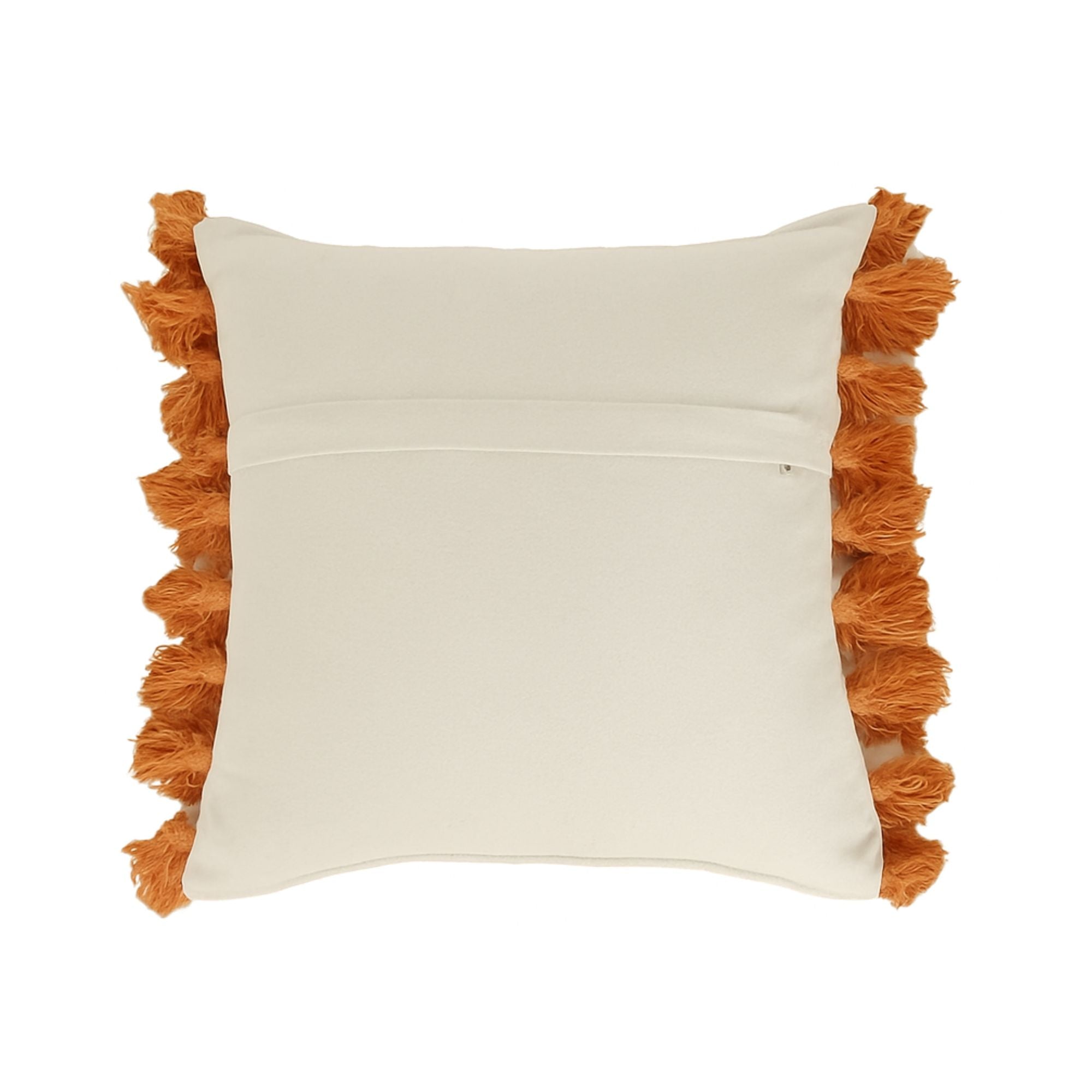 Reshami Cushion Cover