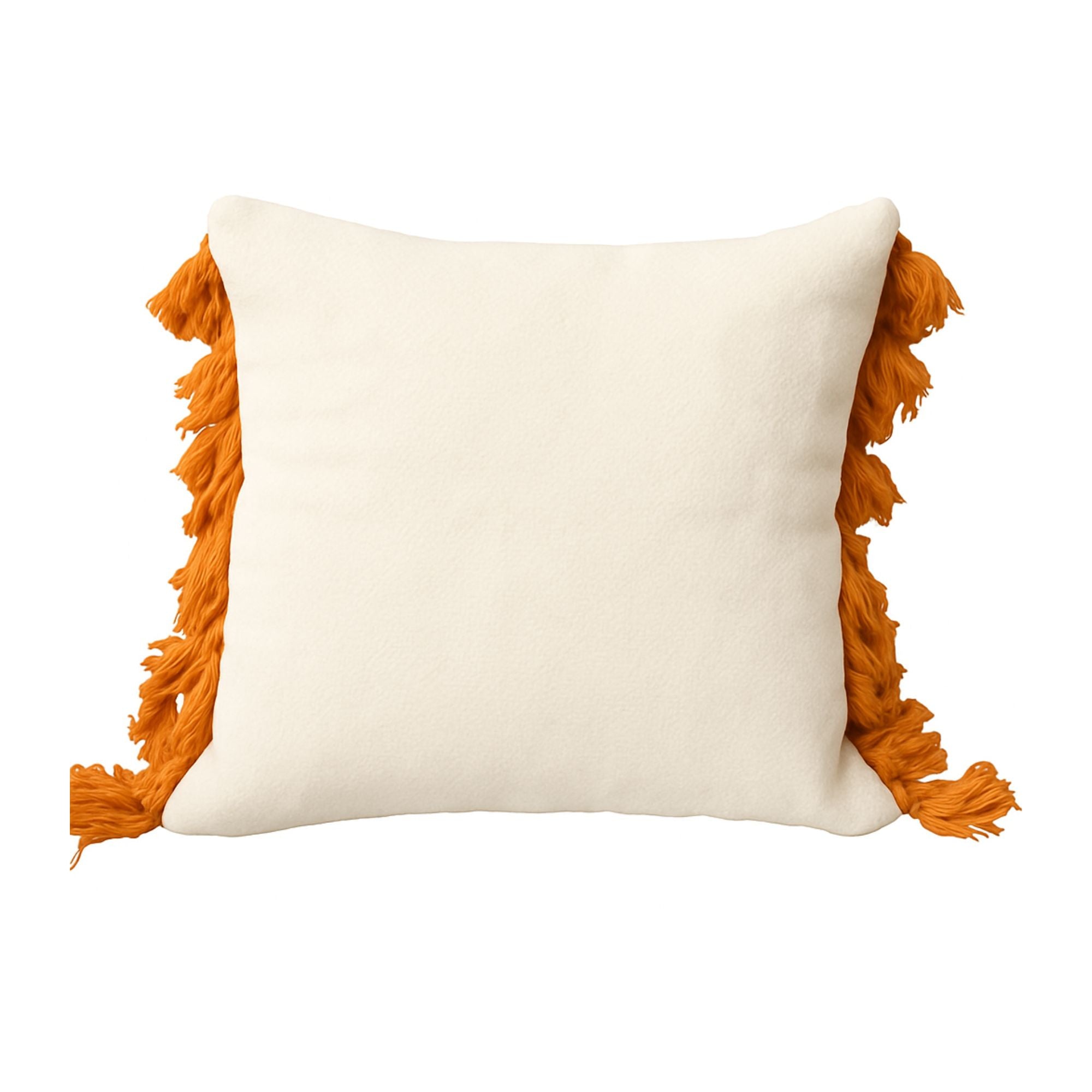 Reshami Cushion Cover