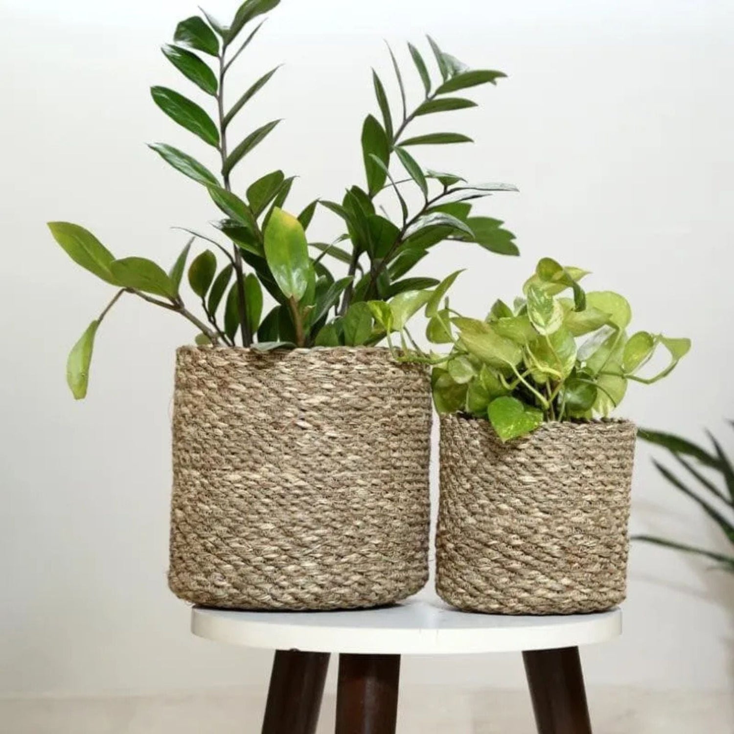 Enchanted Garden Jute Planter - Sarva Casa