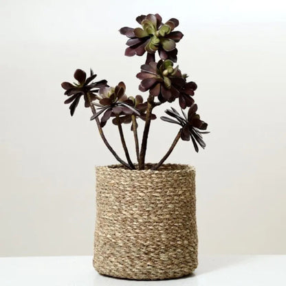 Enchanted Garden Jute Planter - Sarva Casa